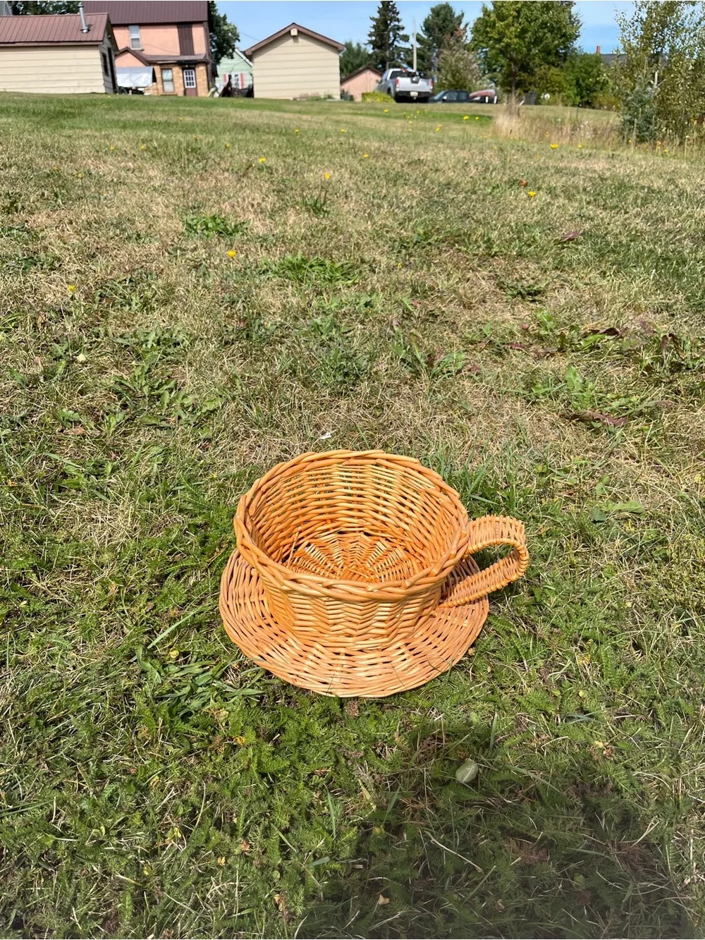 Woven Rattan Decorative Basket - Natural Brown . Coffee Cup Shape